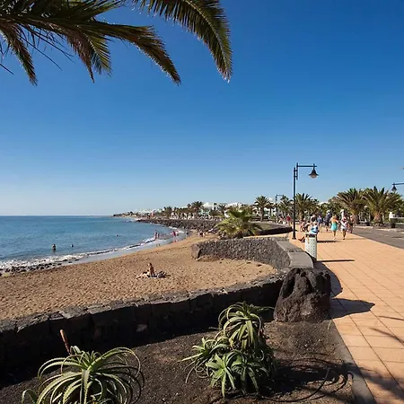 Malva * Puerto del Carmen (Lanzarote)
