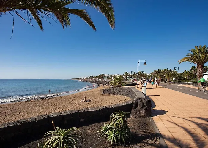 Malva * بويرتو ذيل كارمين